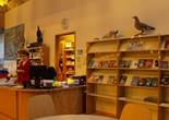 P1011511 (1024x768).jpg (76339 bytes)